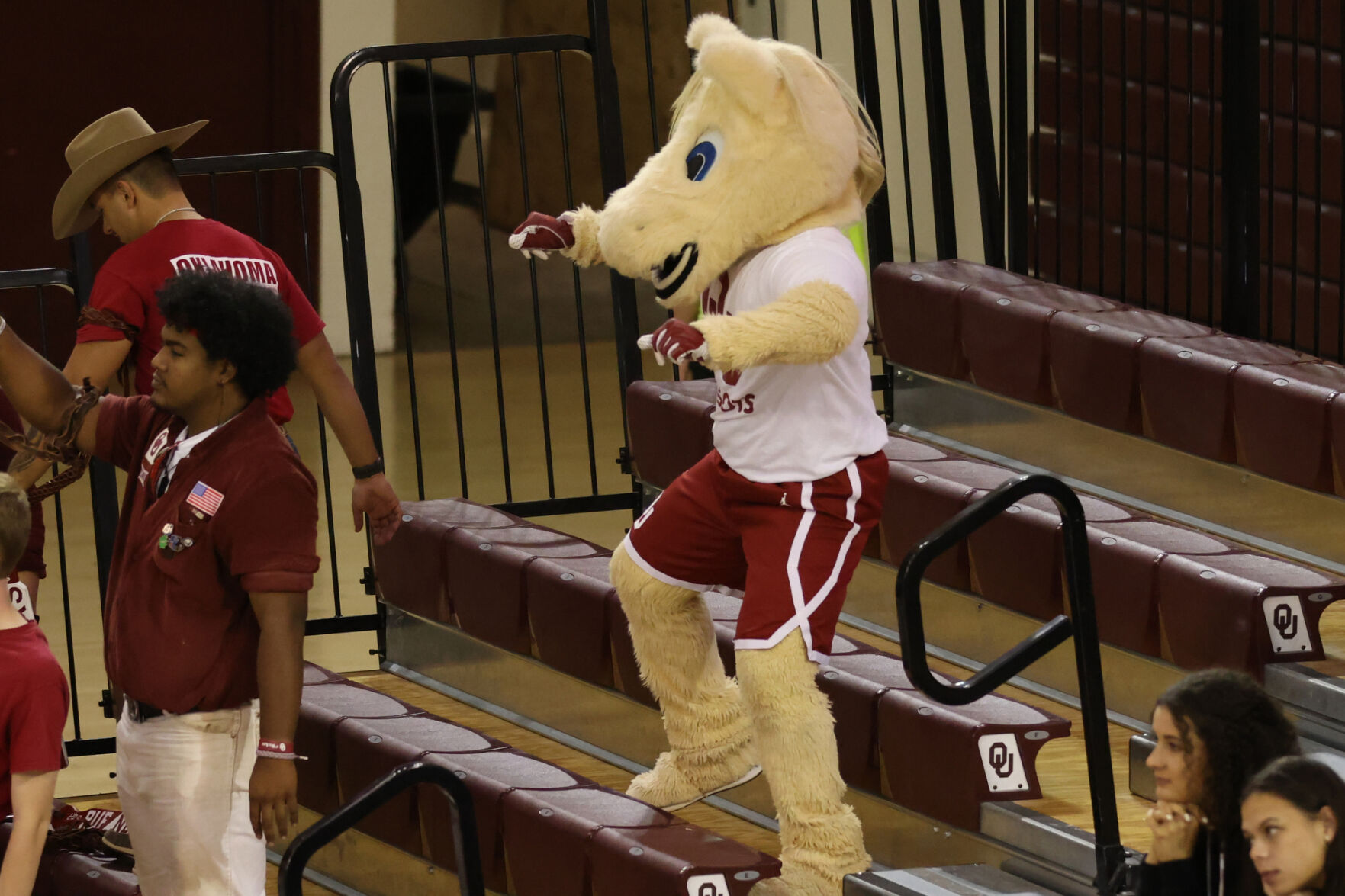 Boomer